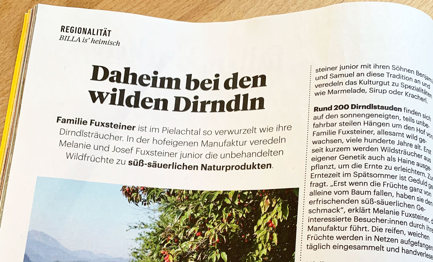 Read more about the article Fuxsteiner im “FRISCH GEKOCHT” Magazin von Billa