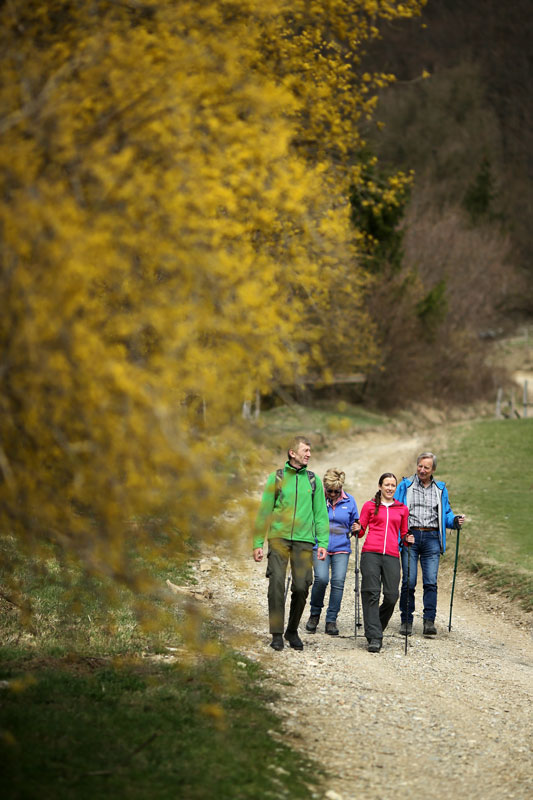 Vier Menschen beim Wandern durch das Dirndltal